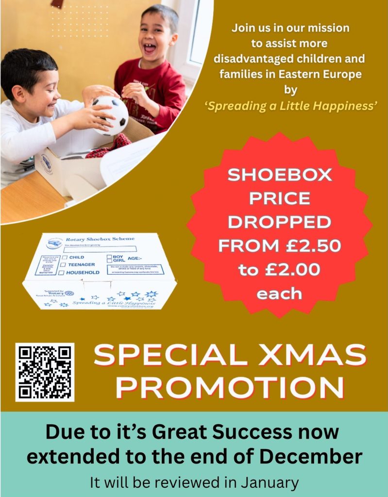 Kept on to the End of December (20 x 25 cm) - 1